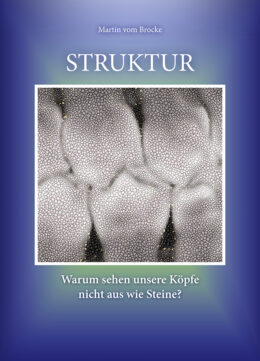 Brocke: STRUKTUR_Köpfe wie Steine_Pfade.indd